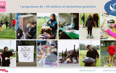 Beau programme du Festival