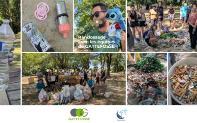 Dépollution avec GATTEFOSSE