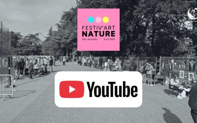 Aftermovie du 5ème Festiv&rsquo;Art